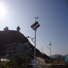 Luz de estacionamiento Solar, viento Solar estacionamiento lámpara del viento